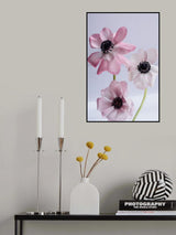 Lovely Anemones Poster och Canvastavla