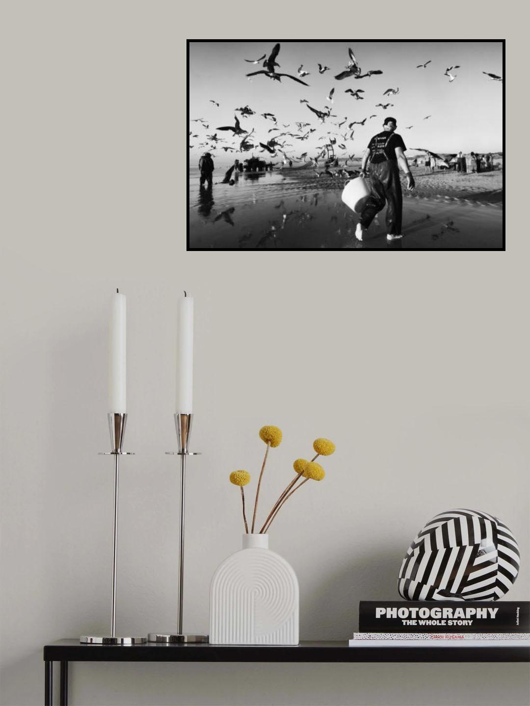 salt lives Poster och Canvastavla