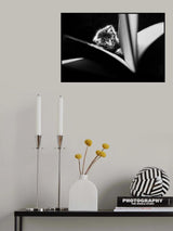 Young reader Poster och Canvastavla