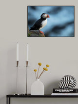 Where's the fish this time.. Poster och Canvastavla