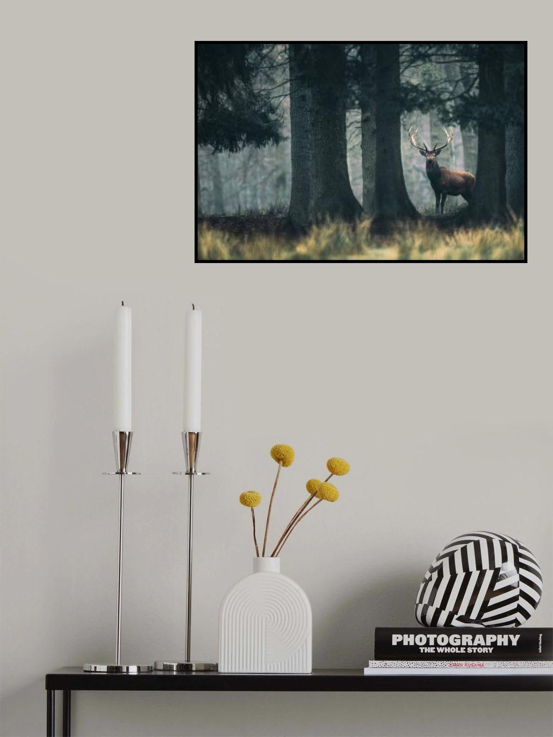 King of the forest Poster och Canvastavla