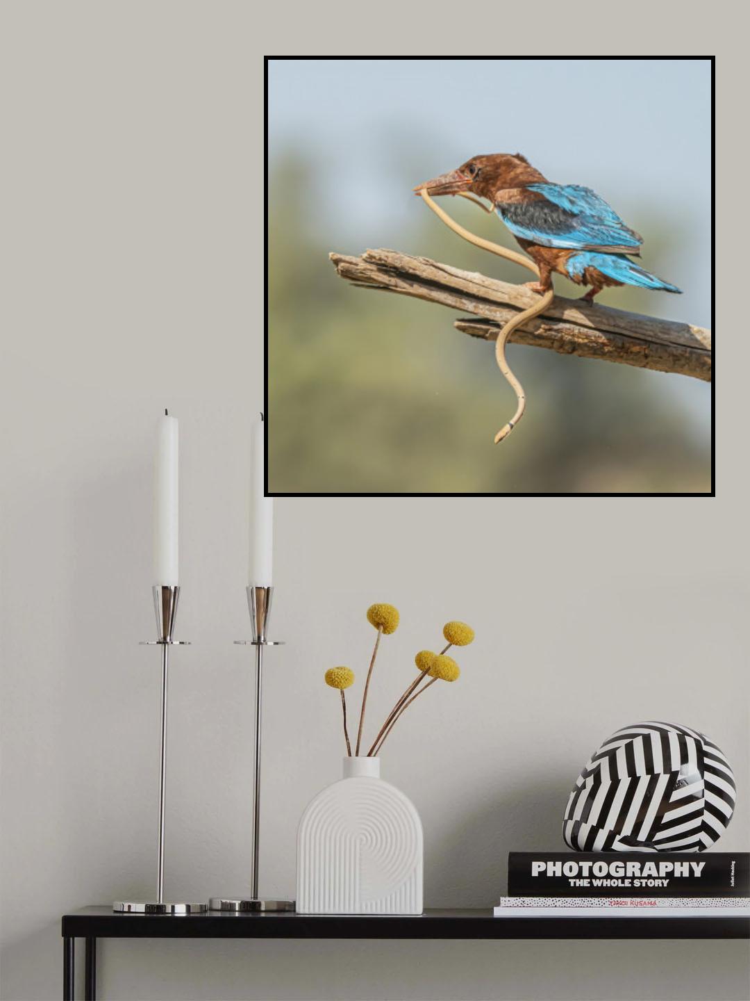 Kingfisher Poster och Canvastavla