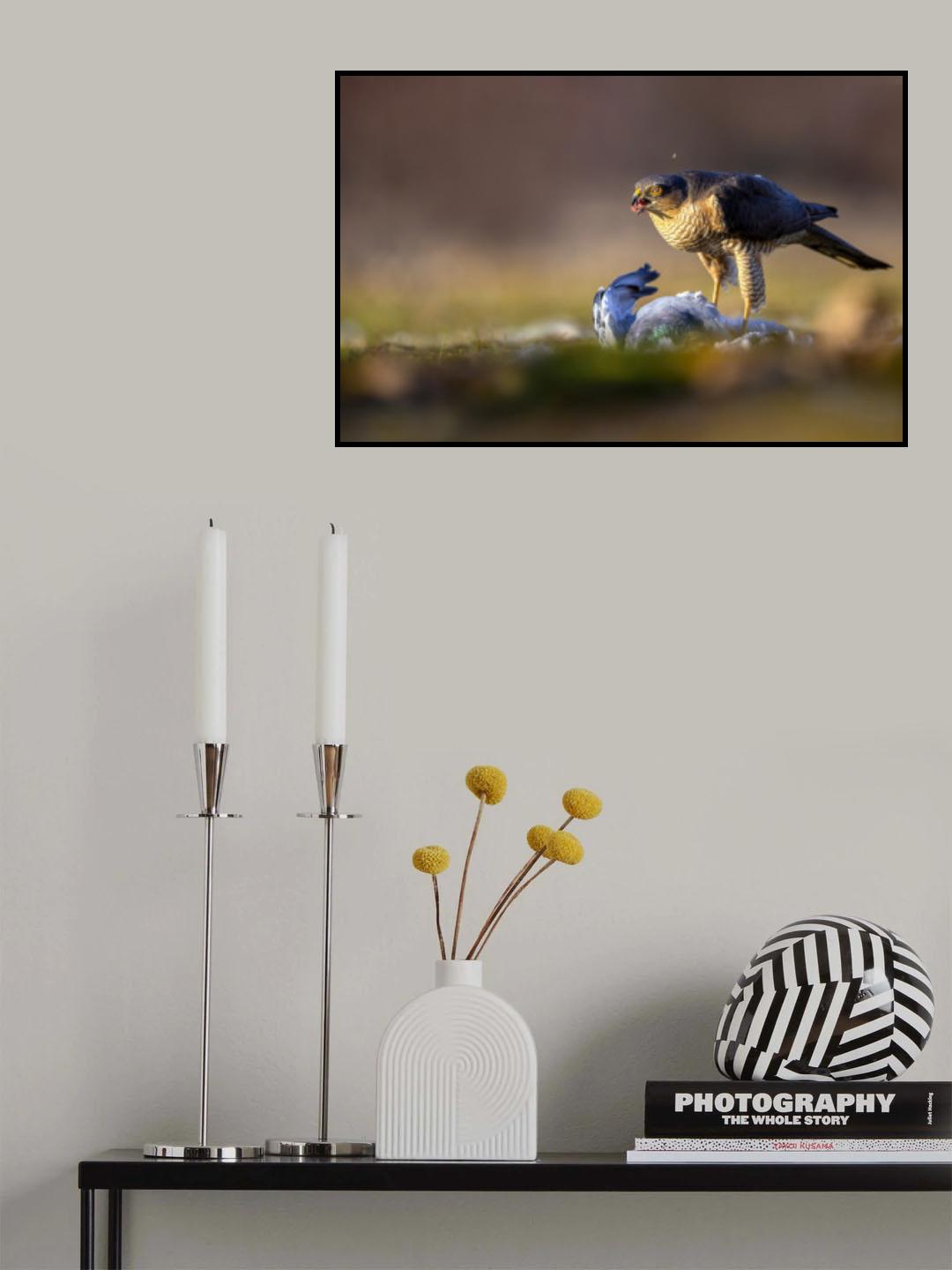 Hunter at sunset Poster och Canvastavla