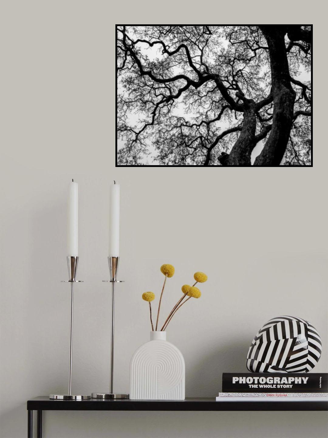 Abstract Tree Branches Poster och Canvastavla