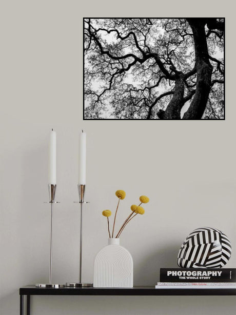 Abstract Tree Branches Poster och Canvastavla