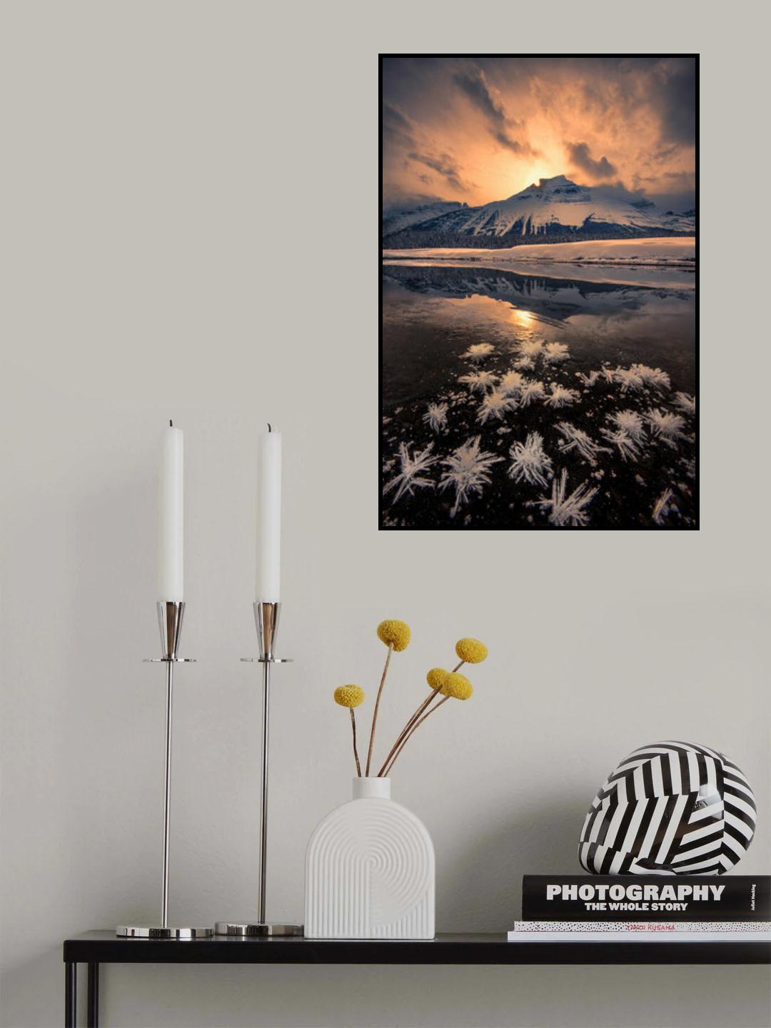 Frost Flower Poster och Canvastavla