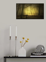 Into the light Poster och Canvastavla