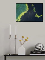 Boat in the lotus pond Poster och Canvastavla