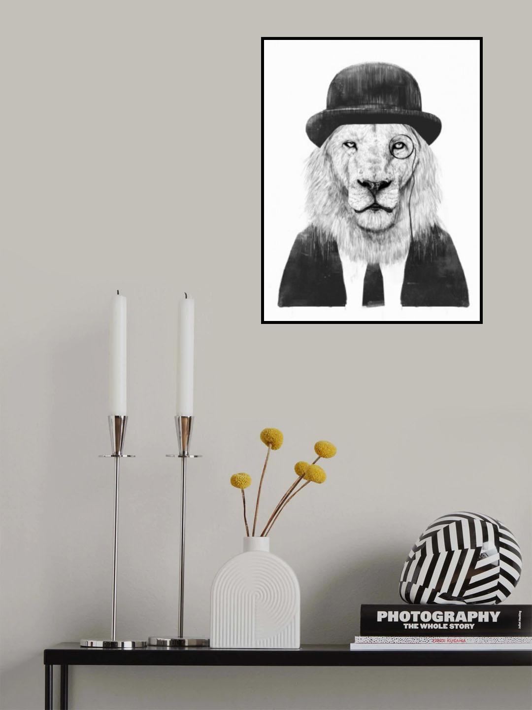 Sir Lion Poster och Canvastavla