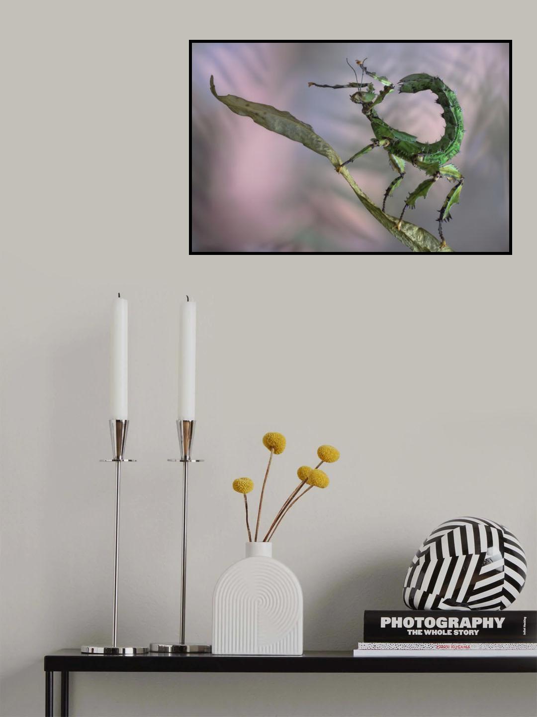 Dancing stick Poster och Canvastavla