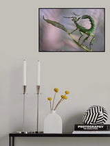 Dancing stick Poster och Canvastavla