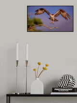 Take Off Poster och Canvastavla