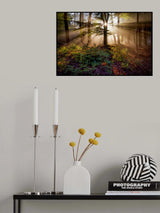 Magical forest Poster och Canvastavla