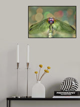 Have a rest II Poster och Canvastavla