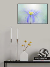 Awakening Poster och Canvastavla