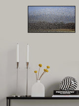 Bird Curtain Poster och Canvastavla