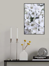 Distressed freesias V Poster och Canvastavla