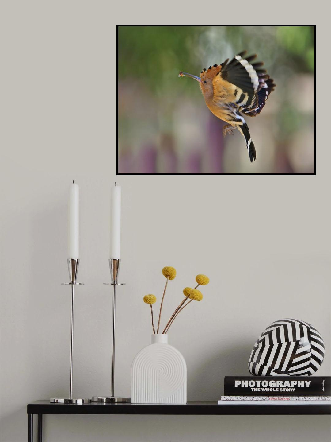 HOOPOE Poster och Canvastavla