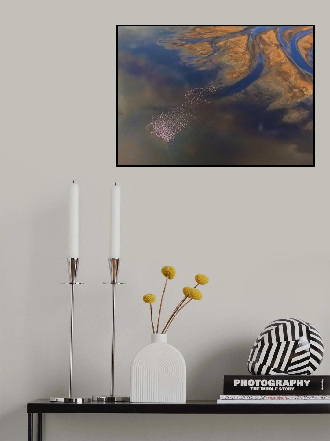 Aerial Flamingo Poster och Canvastavla