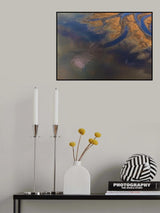 Aerial Flamingo Poster och Canvastavla