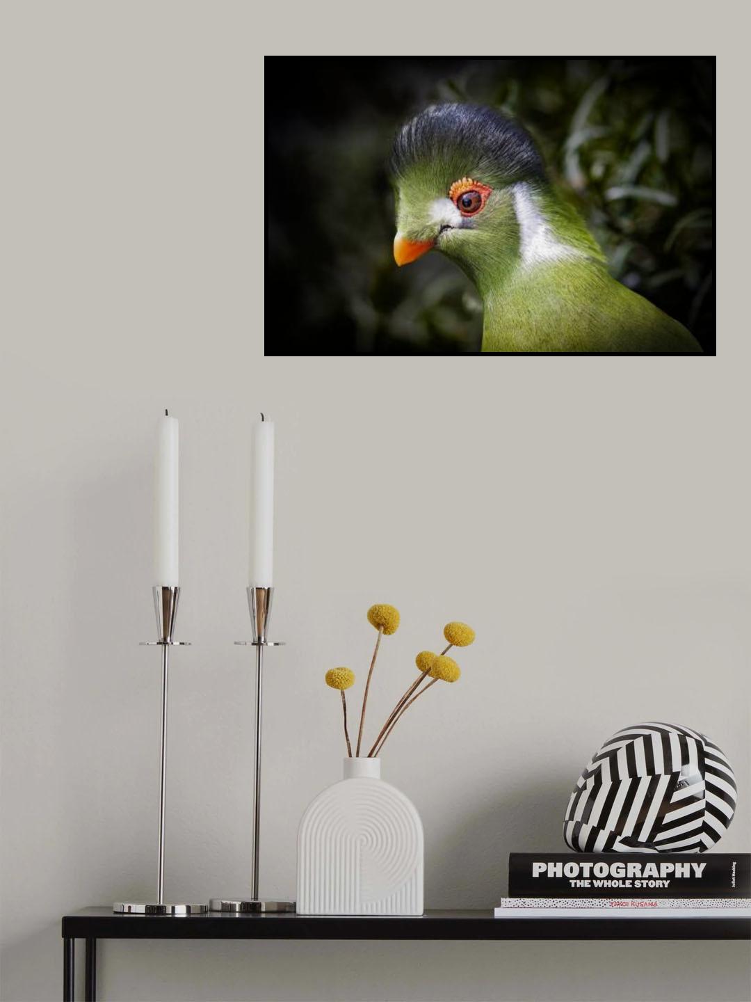 Curious guy Poster och Canvastavla