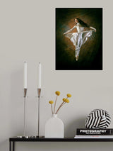 Levitation Poster och Canvastavla