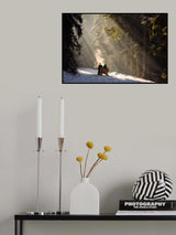 Into the forest Poster och Canvastavla