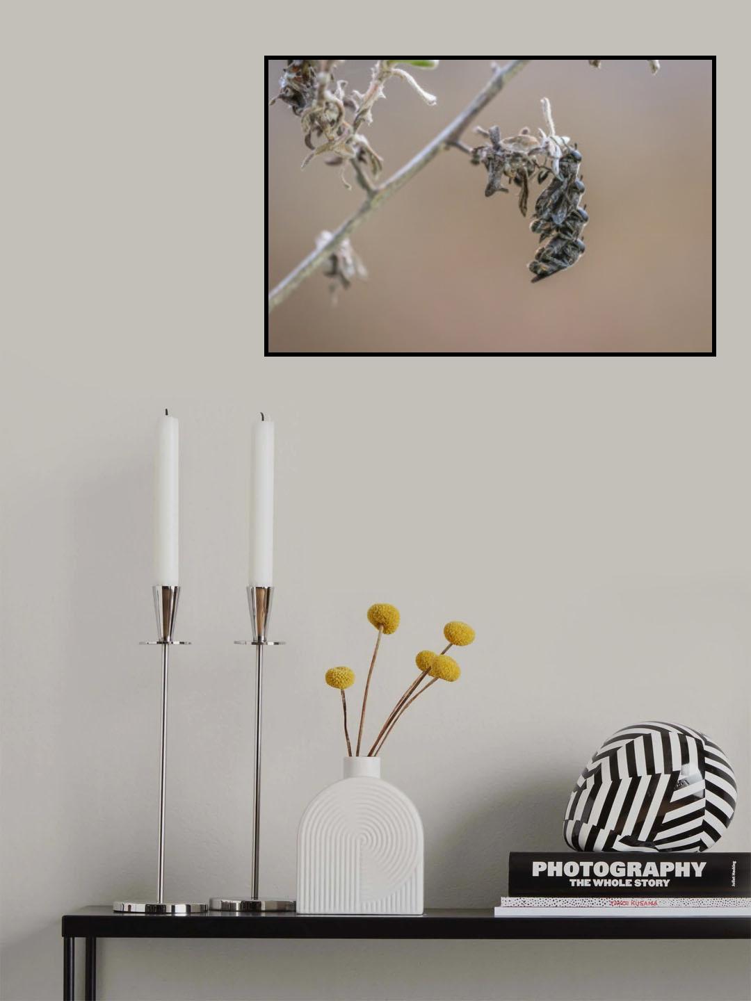 Sleeping together Poster och Canvastavla