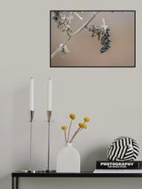 Sleeping together Poster och Canvastavla