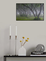 Korean Hornbeam-1 Poster och Canvastavla