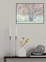 Foggy Cherry Blossom Poster och Canvastavla