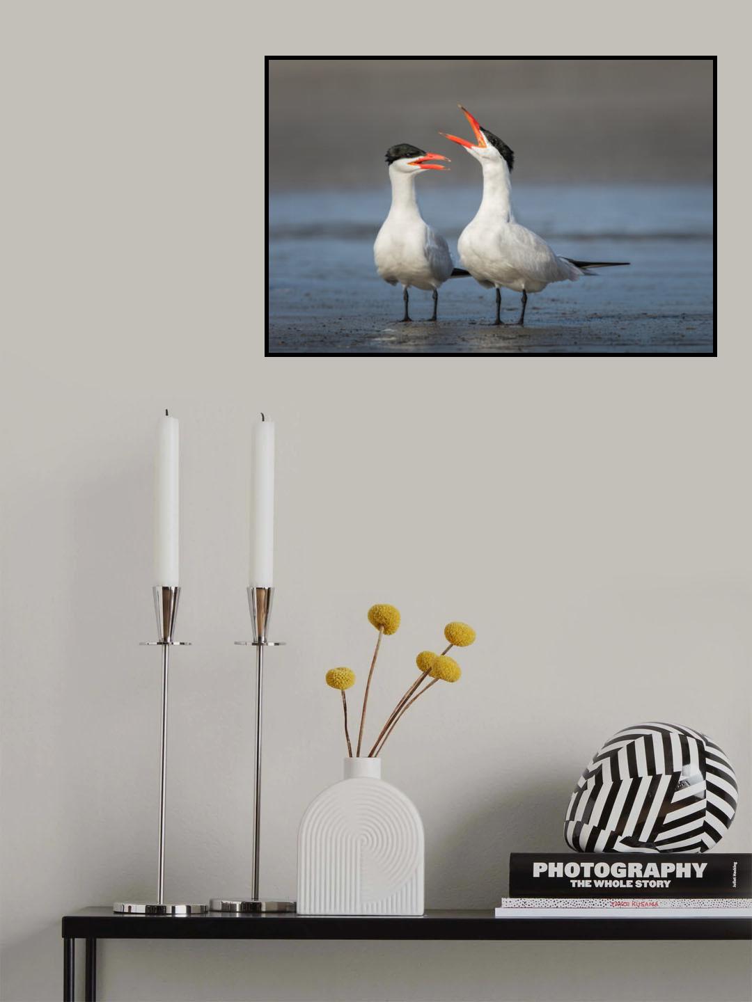 Caspian Conversation Poster och Canvastavla