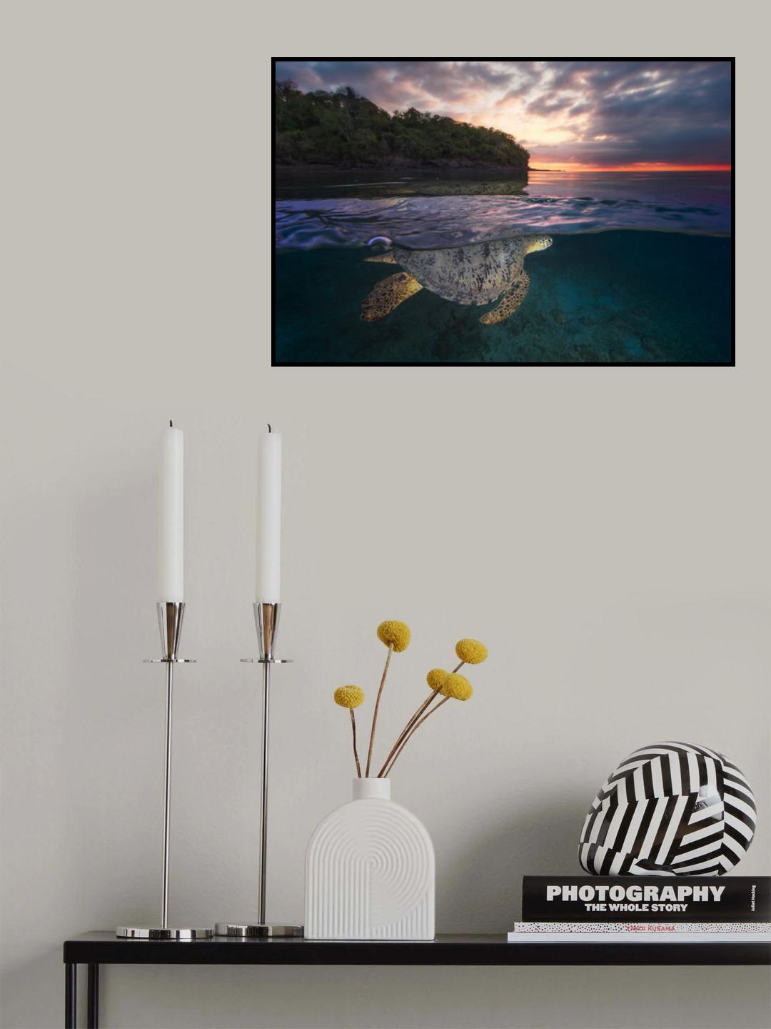 Over the surface - Sea Turtle Poster och Canvastavla