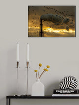 The morning Poster och Canvastavla