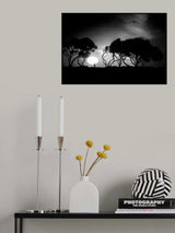 Setting Sun Poster och Canvastavla