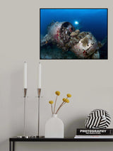 Jake Sea Plane Poster och Canvastavla