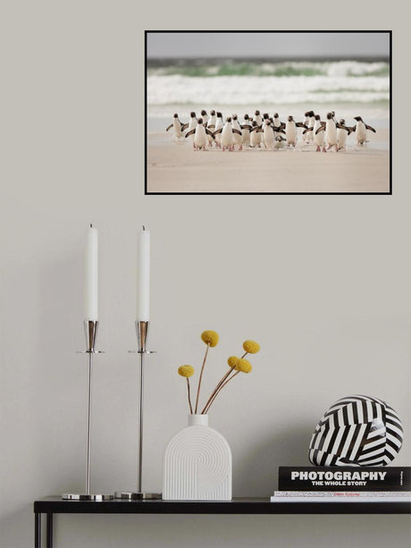 Desembarco Poster och Canvastavla