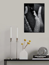 The X factor Poster och Canvastavla