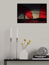 Balloon Poster och Canvastavla