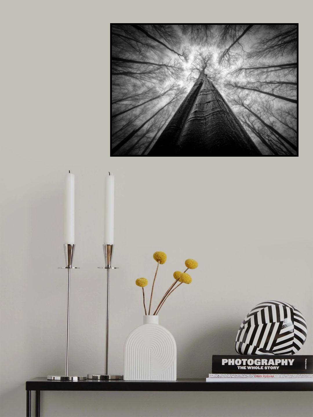 Forest views Poster och Canvastavla