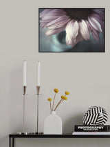 Meet me halfway Poster och Canvastavla