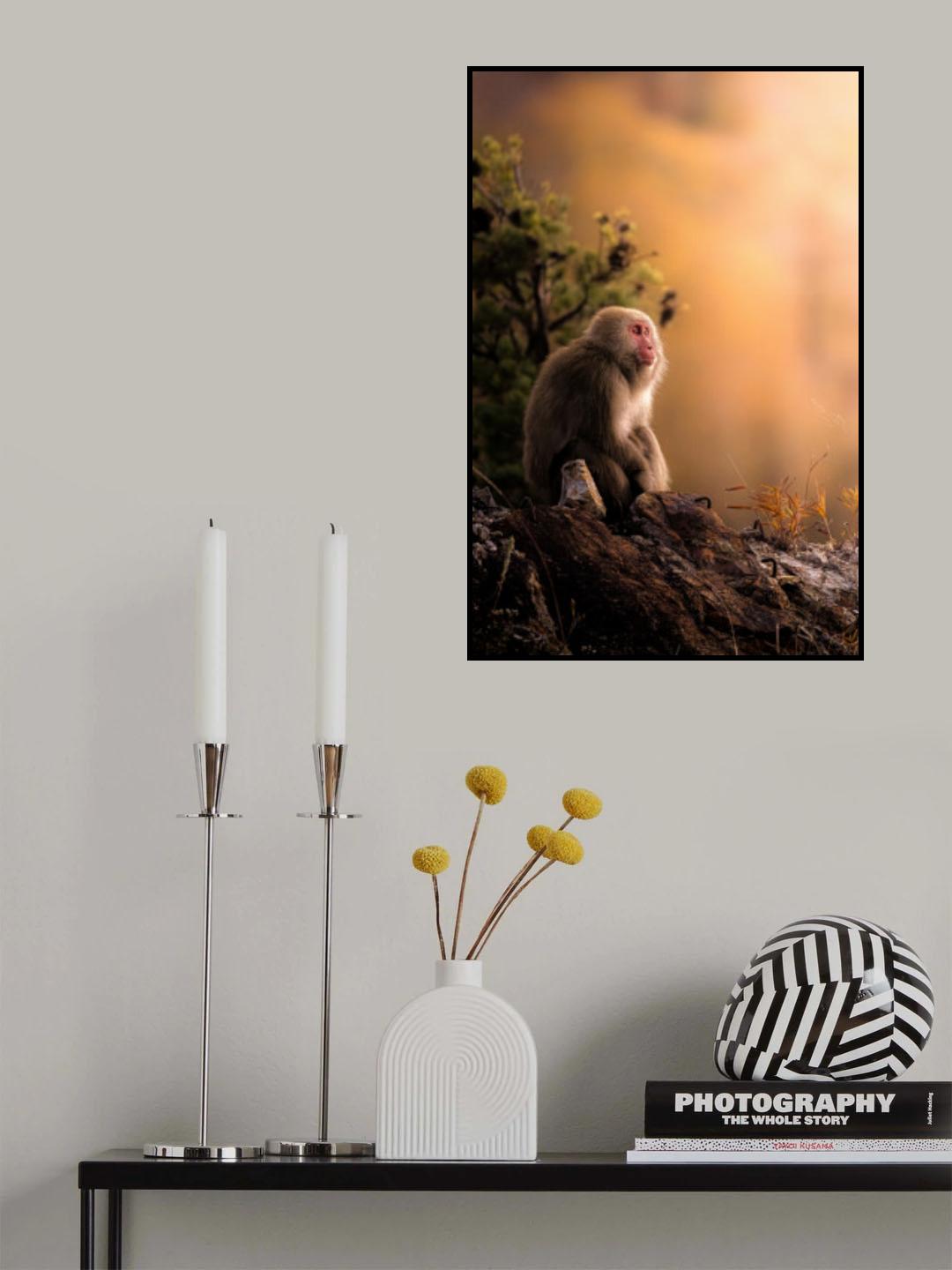 He looks to the future. Poster och Canvastavla