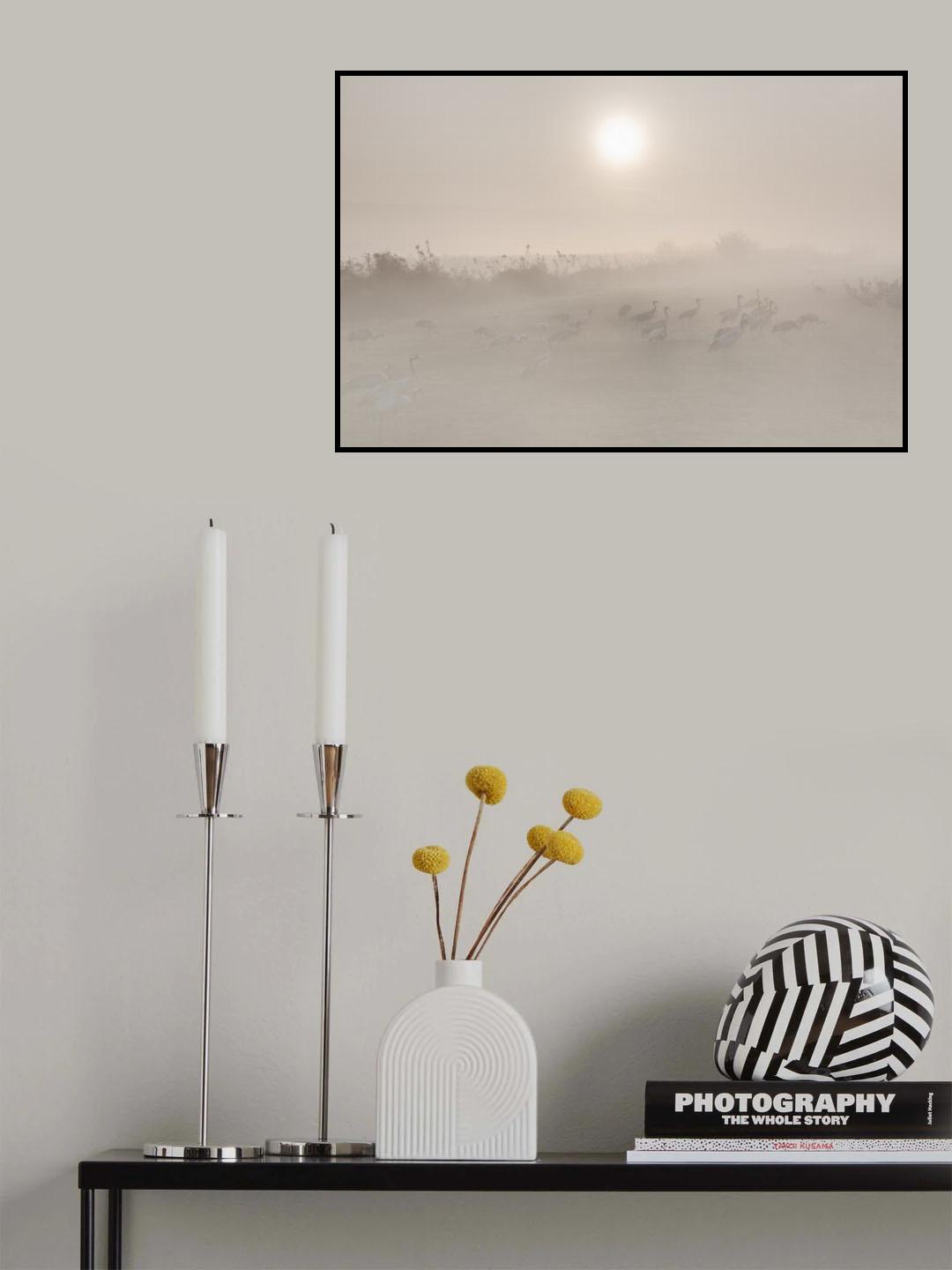 Misty morning... Poster och Canvastavla