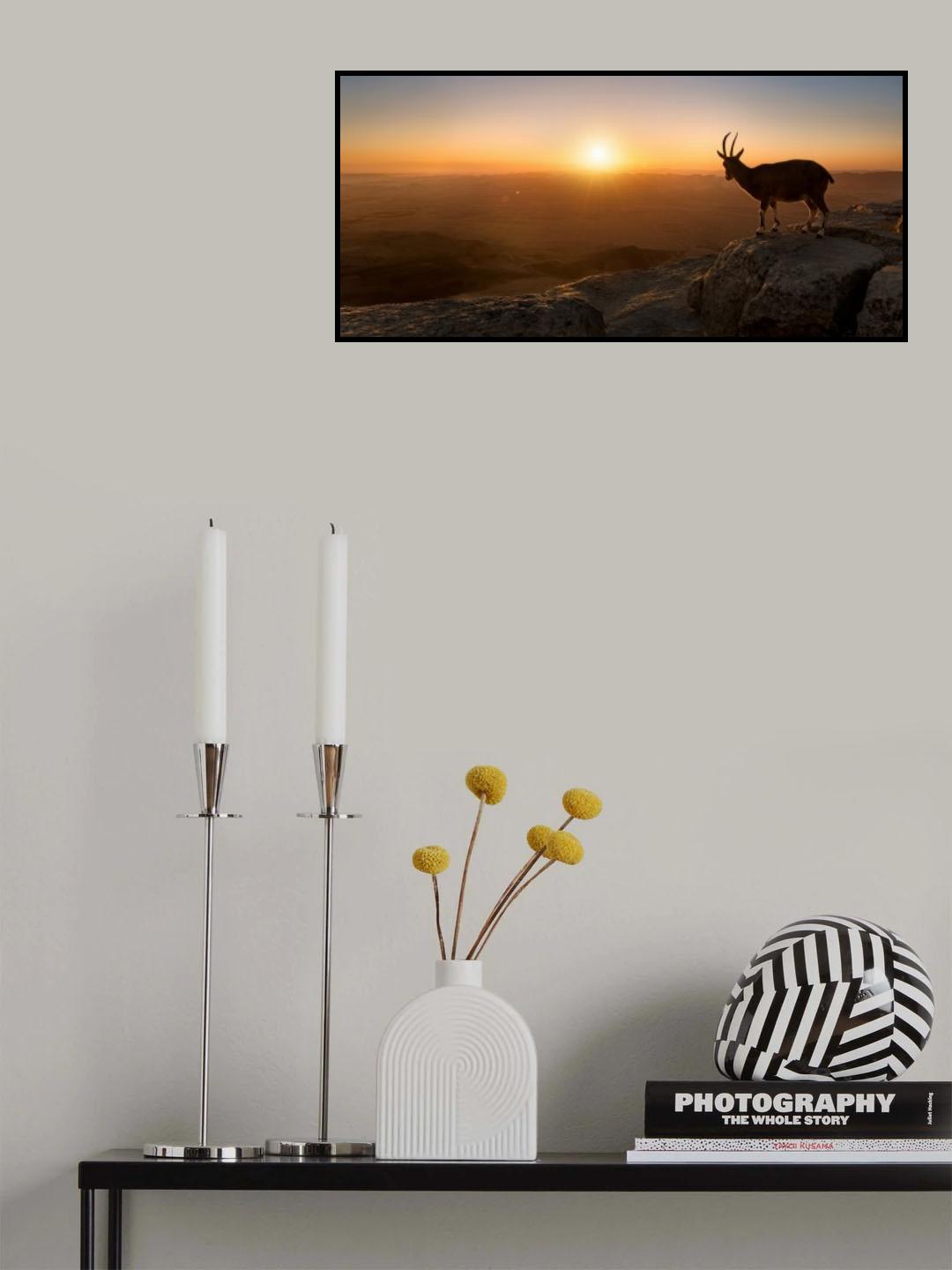 A New Day Poster och Canvastavla