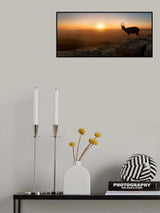 A New Day Poster och Canvastavla