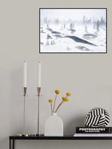 Whiteout Poster och Canvastavla