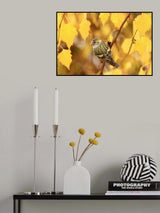 Golden leaves Poster och Canvastavla