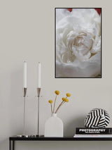Peony_13 Poster och Canvastavla