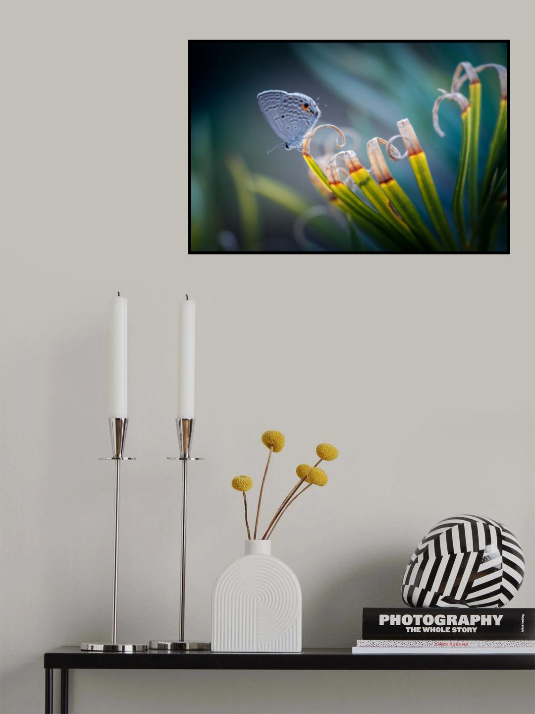 butterfly Poster och Canvastavla