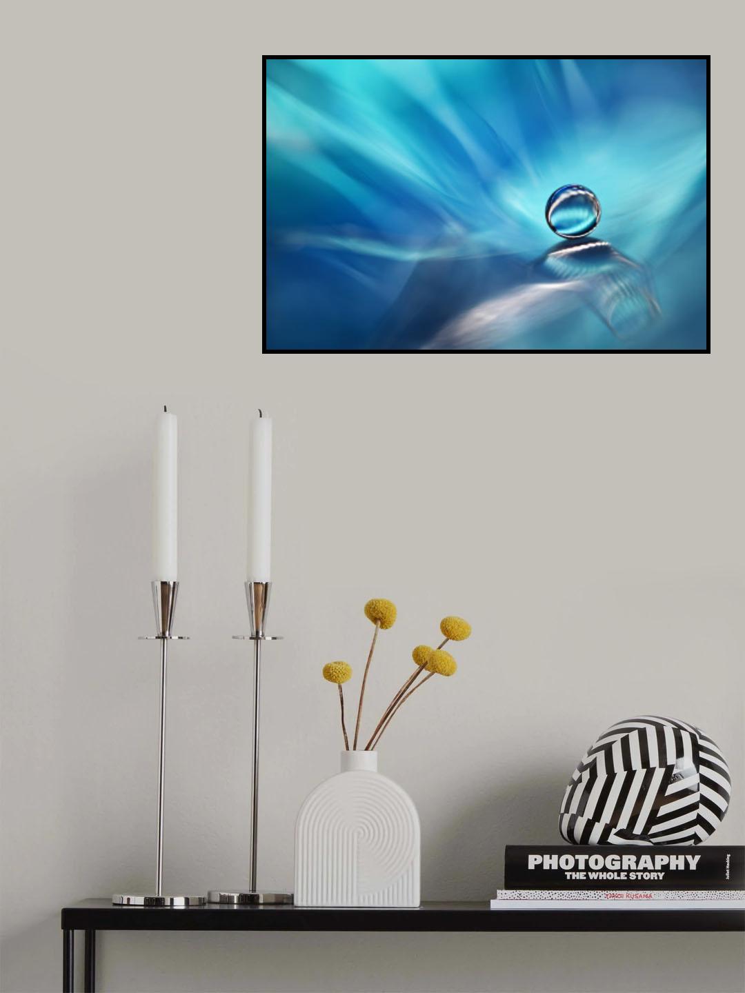 Zen zone Poster och Canvastavla